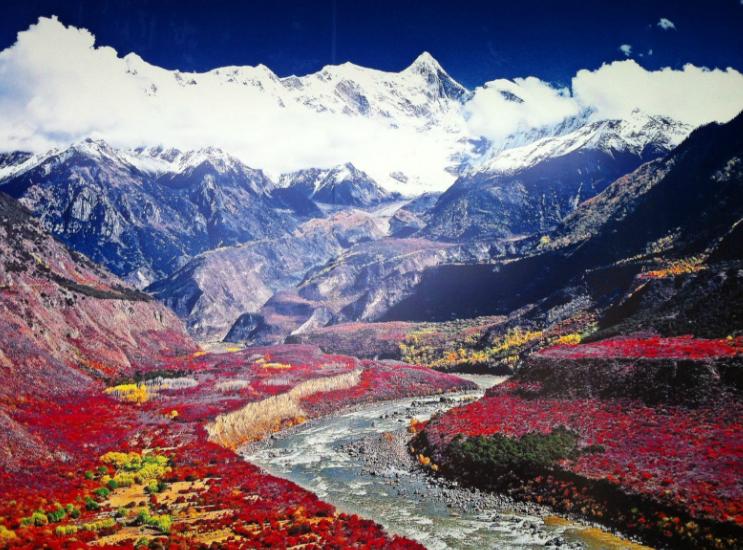 西藏之旅，探寻神秘高原的魅力与风采