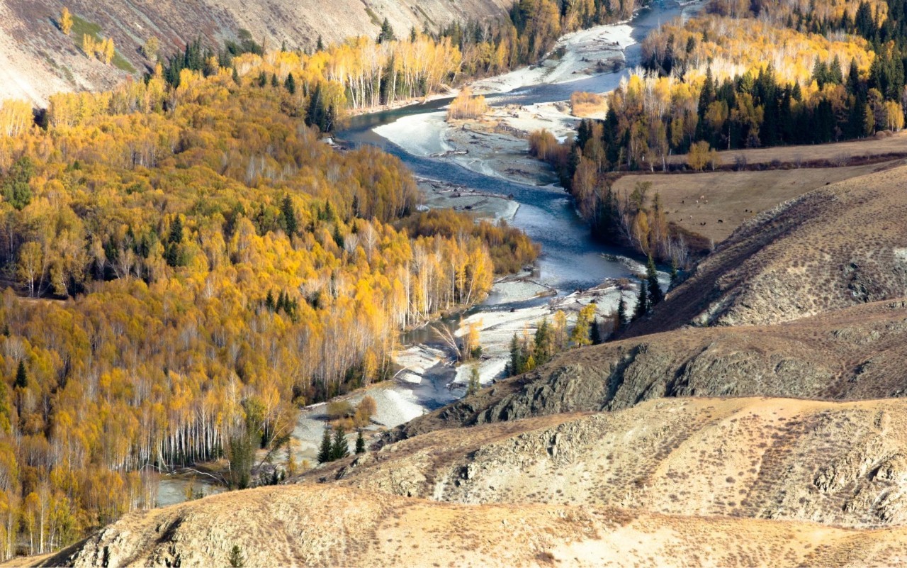 新疆，青春岁月的记忆之地